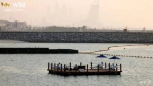 Read more about the article WORLD CUP 2022 THÀNH CUỘC CHƠI XA XỈ CỦA GIỚI SIÊU GIÀU