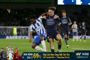 Read more about the article NHẬN ĐỊNH BÓNG ĐÁ BRIGHTON VS MAN CITY (02H00, 26/04)