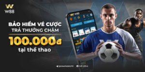 Read more about the article BẢO HIỂM VÉ CƯỢC TRẢ THƯỞNG CHẬM TẠI THỂ THAO ĐẾN 100 VND