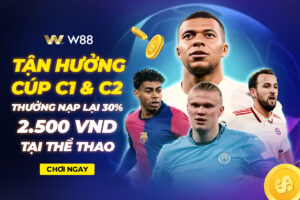 Read more about the article TẬN HƯỞNG CÚP C1 & C2 – THƯỞNG NẠP LẠI 30% LÊN ĐẾN 2,500 VND TẠI THỂ THAO