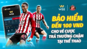 Read more about the article BẢO HIỂM VÉ CƯỢC TRẢ THƯỞNG CHẬM TẠI THỂ THAO ĐẾN 100 VND