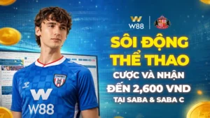 Read more about the article SÔI ĐỘNG THỂ THAO – CƯỢC VÀ NHẬN THƯỞNG ĐẾN 2,600 VND TẠI SABA & SABA C