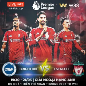 Read more about the article [W88 – MINIGAME] BRIGHTON – LIVERPOOL | THỬ THÁCH THAM VỌNG