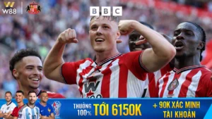 Read more about the article [NHẬN ĐỊNH BÓNG ĐÁ] NEWCASTLE – SUNDERLAND, 19H00 NGÀY 22/3